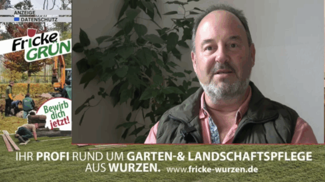 Vimeo Video