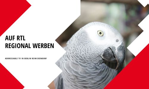 Auf RTL regional werben mit Addressable TV. Der komplette Ablauf